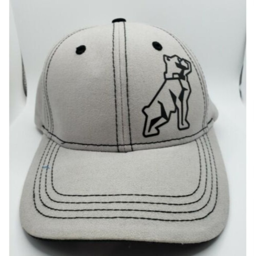 Mack Truck Bulldog Gray Snapback Mens Cap Hat